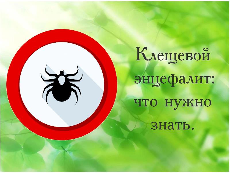 О проведении тематических &amp;quot;горячих линий&amp;quot; по профилактике клещевого энцефалита.